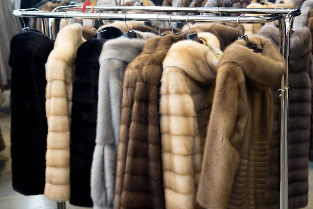 Professional Dry Cleaners Repair Furs, Can A Fur Coat Be Dry Cleaned